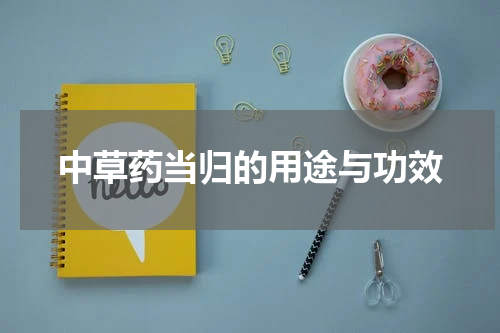 中草药当归的用途与功效
