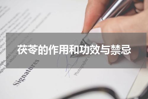茯苓的作用和功效与禁忌