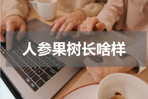 人参果树长啥样