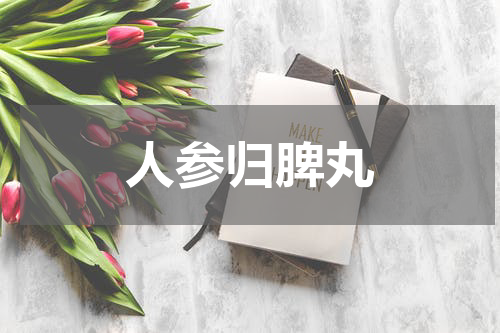 人参归脾丸
