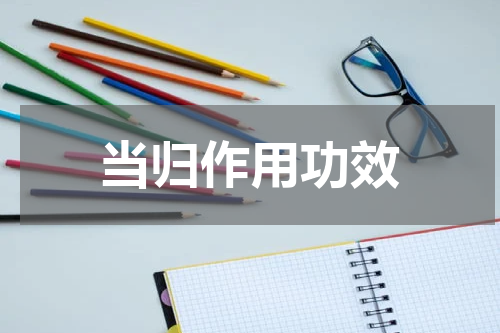 当归作用功效