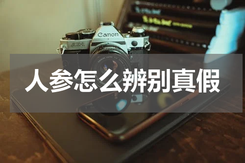 人参怎么辨别真假
