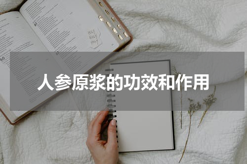 人参原浆的功效和作用