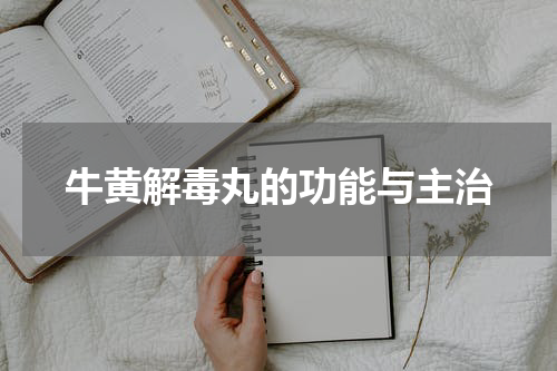 牛黄解毒丸的功能与主治