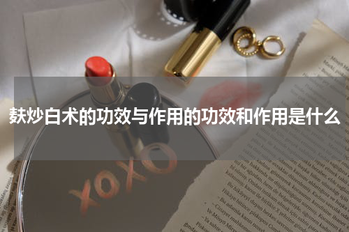 麸炒白术的功效与作用的功效和作用是什么