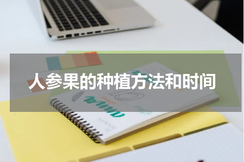 人参果的种植方法和时间