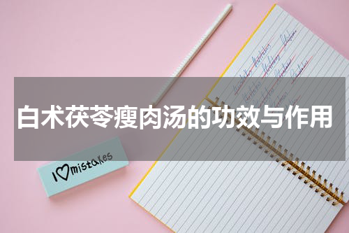 白术茯苓瘦肉汤的功效与作用