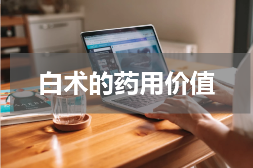 白术的药用价值