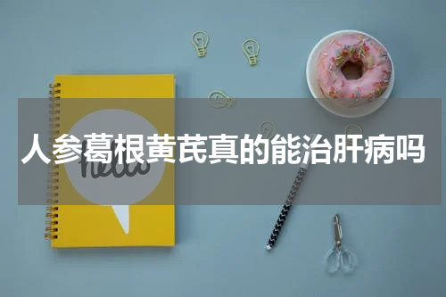 人参葛根黄芪真的能治肝病吗