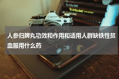 人参归脾丸功效和作用和适用人群缺铁性贫血服用什么药