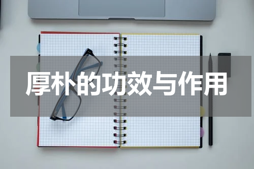 厚朴的功效与作用