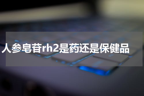 人参皂苷rh2是药还是保健品