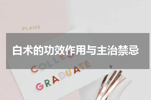 白术的功效作用与主治禁忌