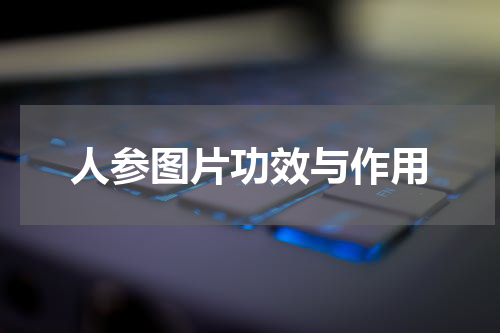人参图片功效与作用