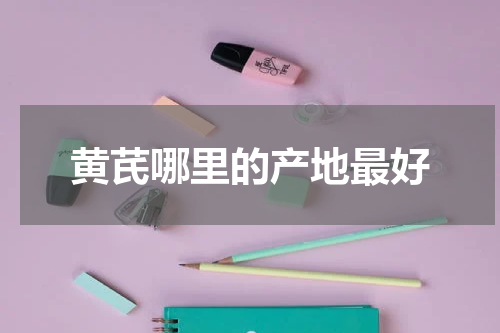 黄芪哪里的产地最好