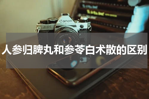人参归脾丸和参苓白术散的区别