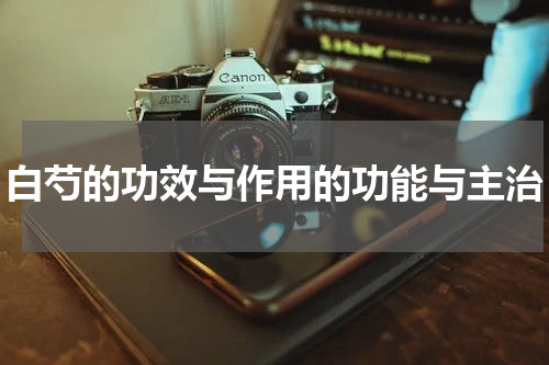 白芍的功效与作用的功能与主治