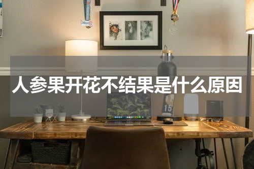 人参果开花不结果是什么原因