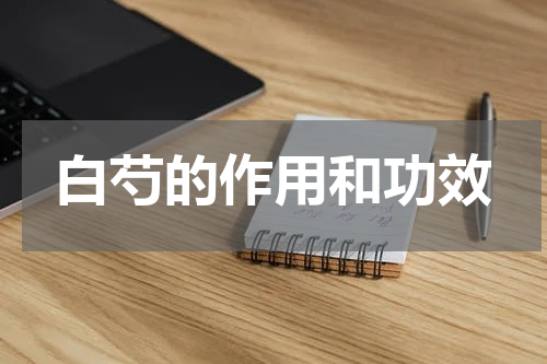 白芍的作用和功效