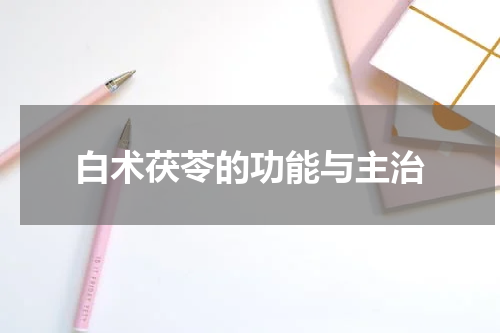 白术茯苓的功能与主治
