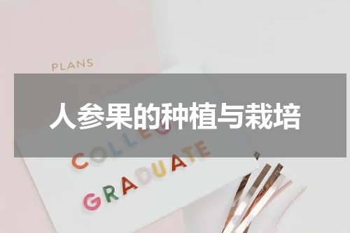 人参果的种植与栽培