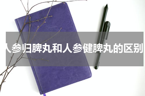 人参归脾丸和人参健脾丸的区别