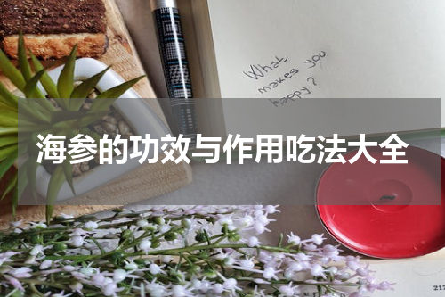 海参的功效与作用吃法大全