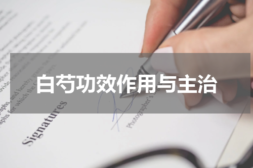 白芍功效作用与主治