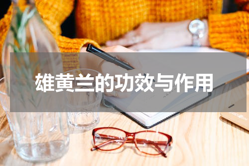 雄黄兰的功效与作用