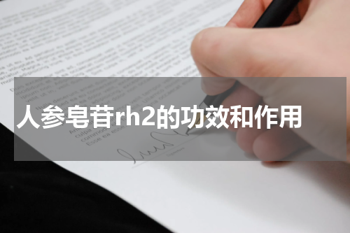 人参皂苷rh2的功效和作用