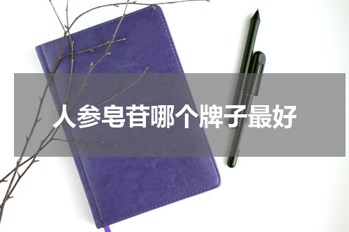 人参皂苷哪个牌子最好