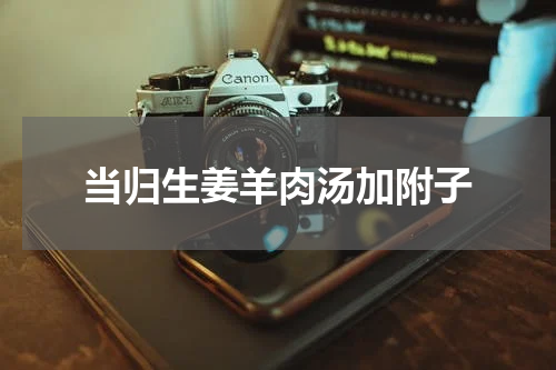当归生姜羊肉汤加附子