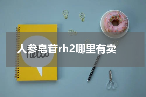 人参皂苷rh2哪里有卖