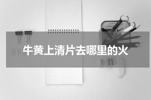 牛黄上清片去哪里的火