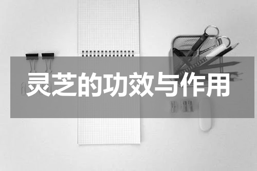 灵芝的功效与作用