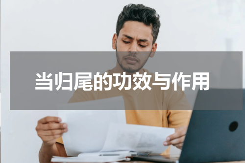 当归尾的功效与作用