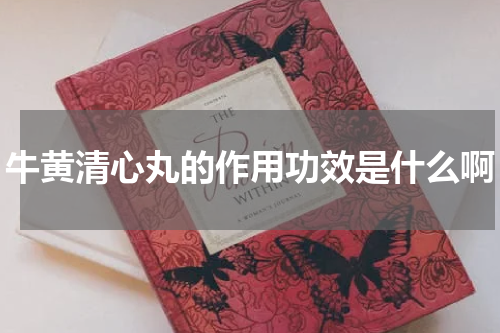 牛黄清心丸的作用功效是什么啊