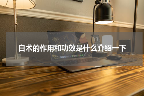 白术的作用和功效是什么介绍一下