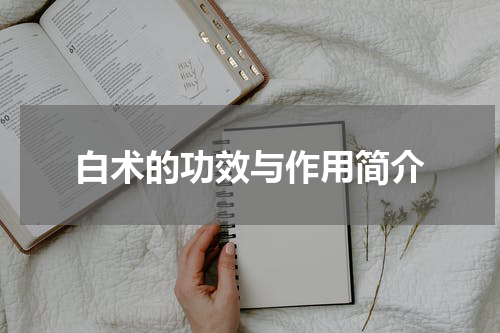 白术的功效与作用简介