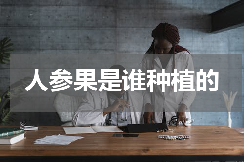 人参果是谁种植的