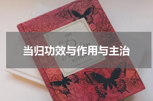 当归功效与作用与主治