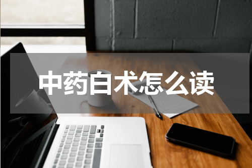 中药白术怎么读