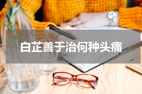 白芷善于治何种头痛