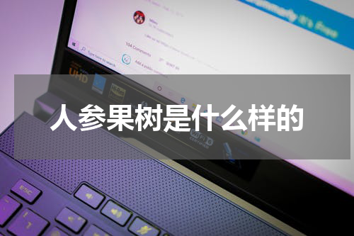 人参果树是什么样的