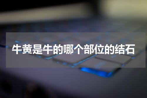 牛黄是牛的哪个部位的结石