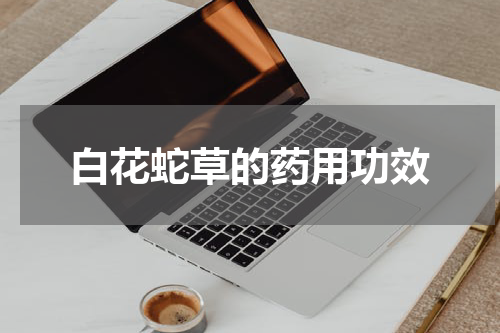 白花蛇草的药用功效