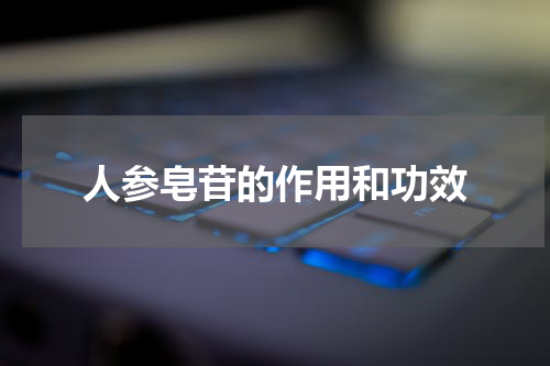 人参皂苷的作用和功效