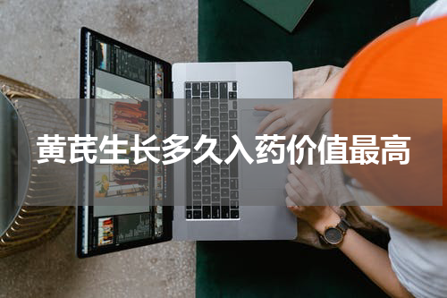 黄芪生长多久入药价值最高