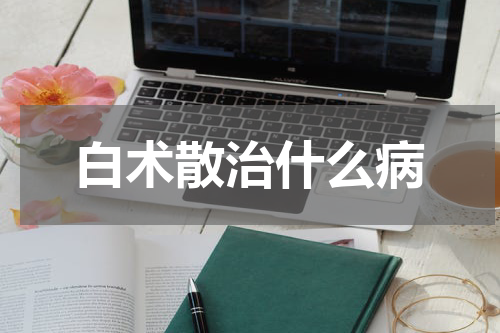 白术散治什么病