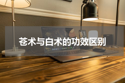 苍术与白术的功效区别